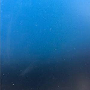 Meet your Posher, Shawn